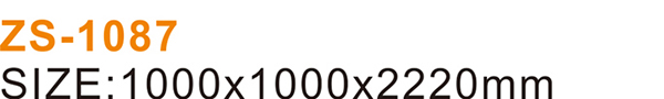 ZS-1087_04.jpg