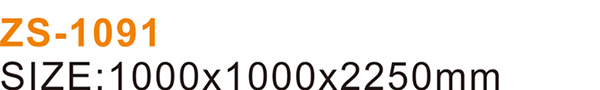 ZS-1091_04.jpg