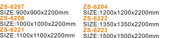 ZS-6207_02.jpg