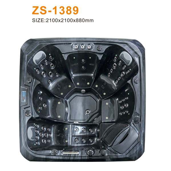 ZS-1389 600.jpg