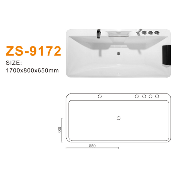ZS-9172 600.jpg
