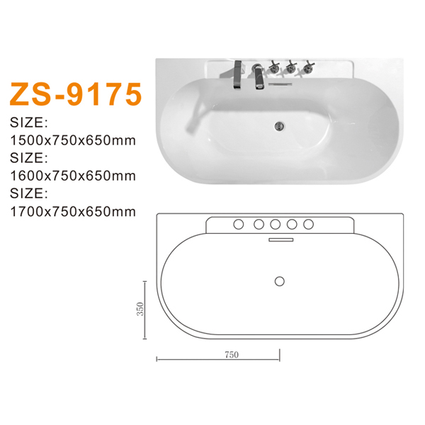 ZS-9175 600.jpg