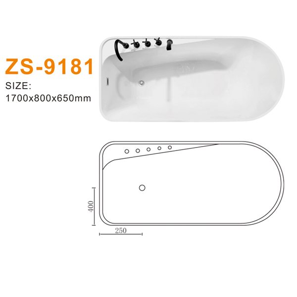 ZS-9181 600.jpg
