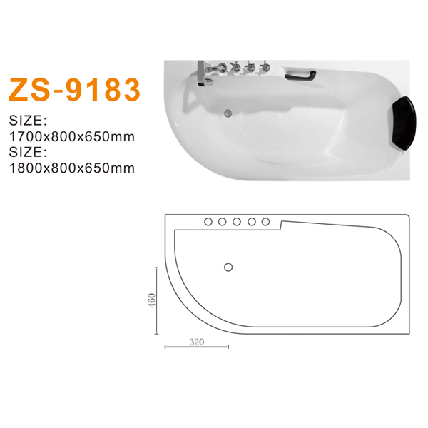 ZS-9183 600.jpg