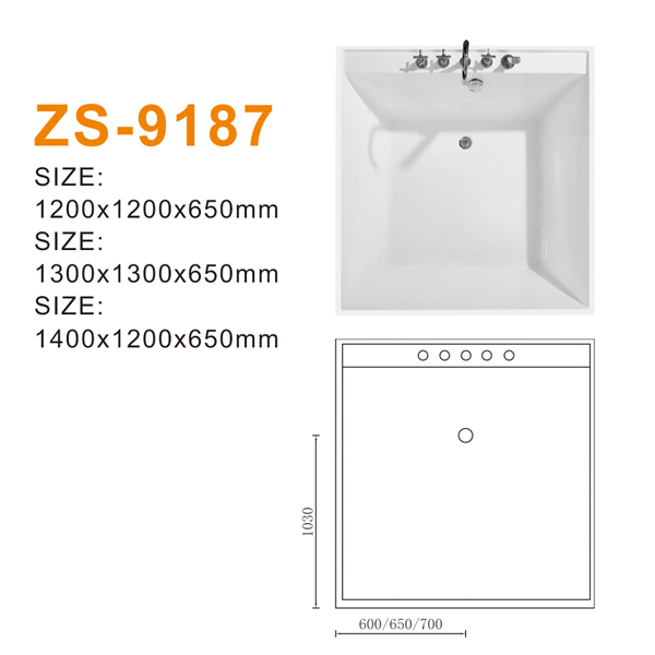 ZS-9187 600.jpg