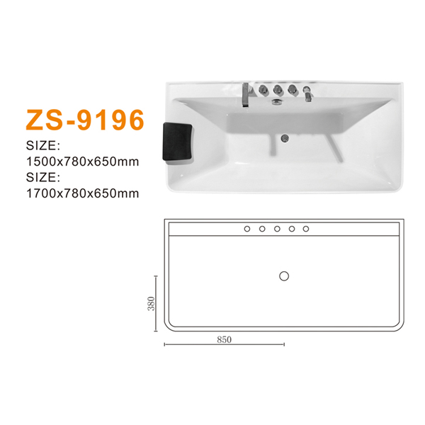 ZS-9196 600.jpg