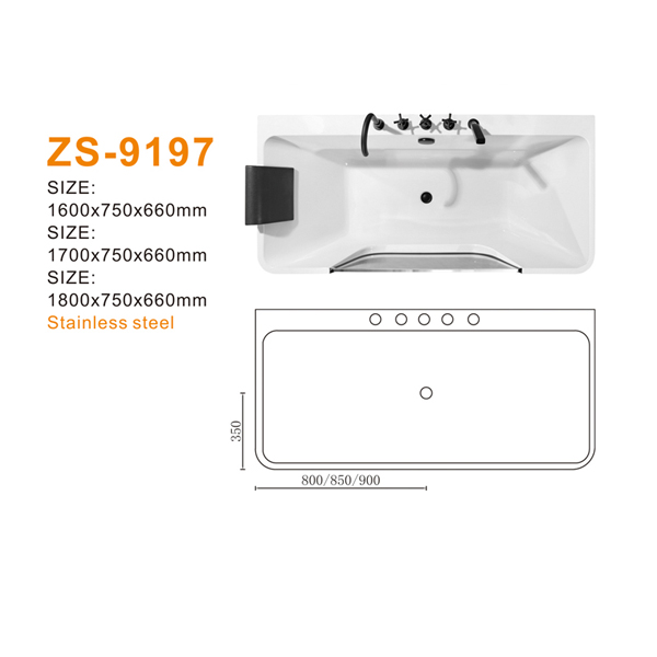 ZS-9197 600.jpg