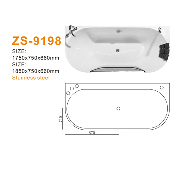ZS-9198 600.jpg
