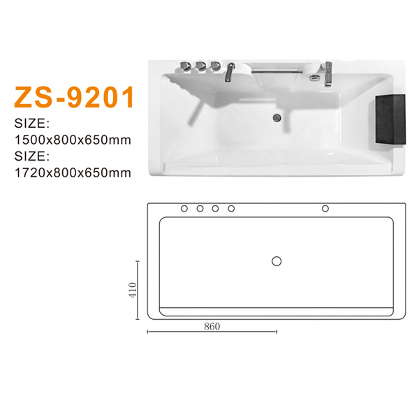 ZS-9201 600.jpg