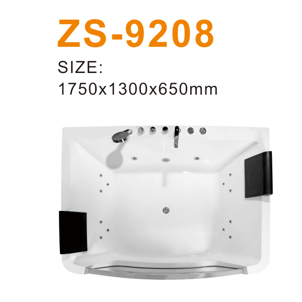 ZS-9208 600.jpg
