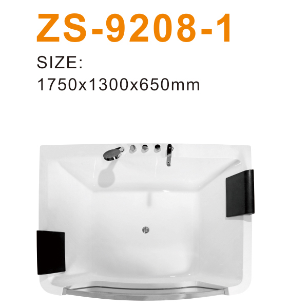 ZS-9208-1 600.jpg