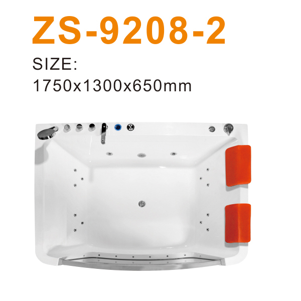 ZS-9208-2 600.jpg