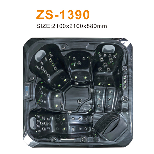 ZS-1390 600.jpg