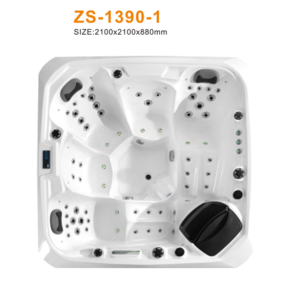 ZS-1390-1 600.jpg