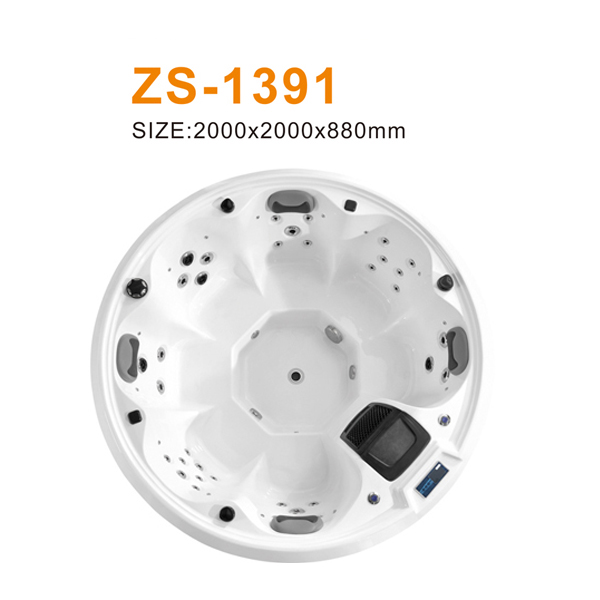 ZS-1391 600.jpg