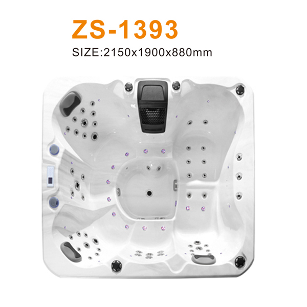 ZS-1393 600.jpg