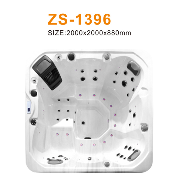 ZS-1396 600.jpg