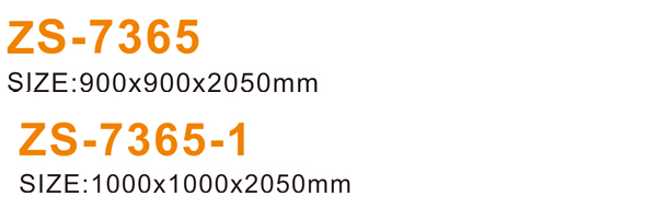 ZS-7365 600.jpg