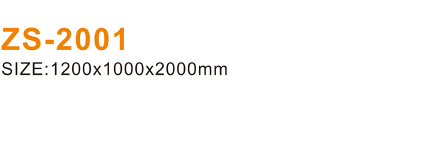 ZS-2001 600.jpg