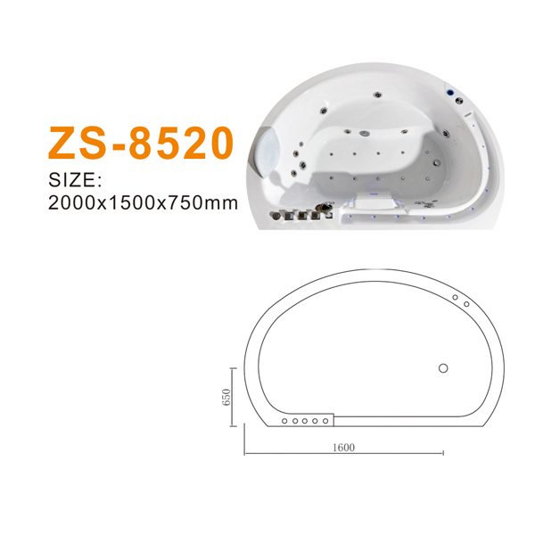 ZS-8520 600.jpg