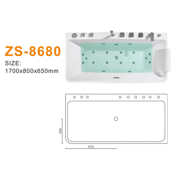 ZS-8680 600.jpg