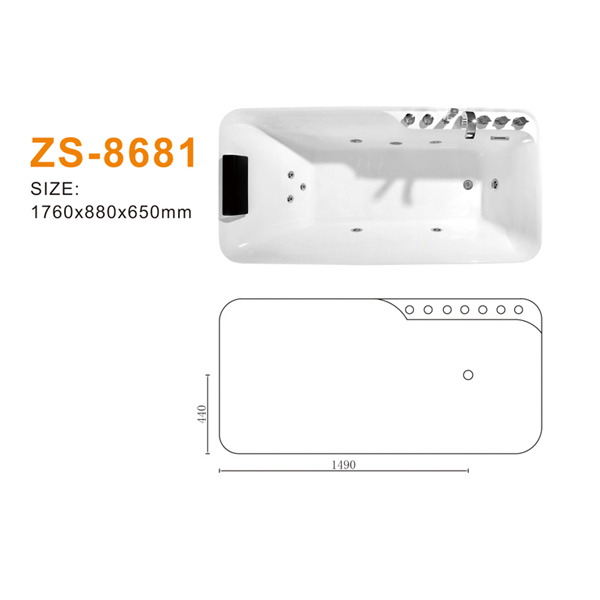 ZS-8681 600.jpg