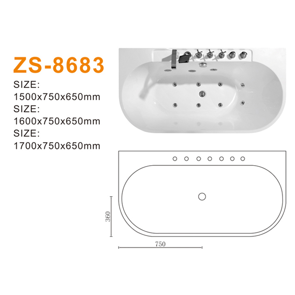 ZS-8683 600.jpg