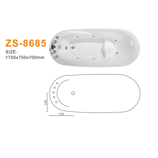 ZS-8685 600.jpg