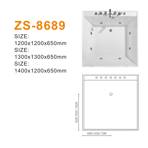 ZS-8689 600.jpg