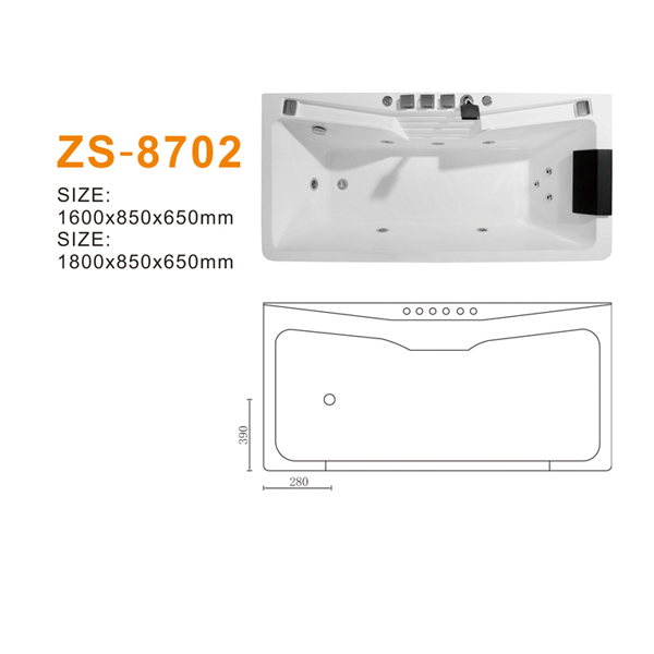 ZS-8702 600.jpg