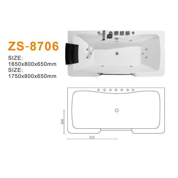 ZS-8706 600.jpg