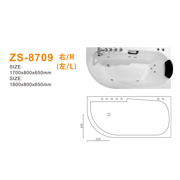 ZS-8709 600.jpg