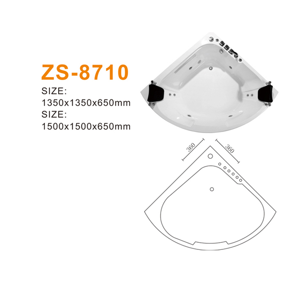 ZS-8710 600.jpg