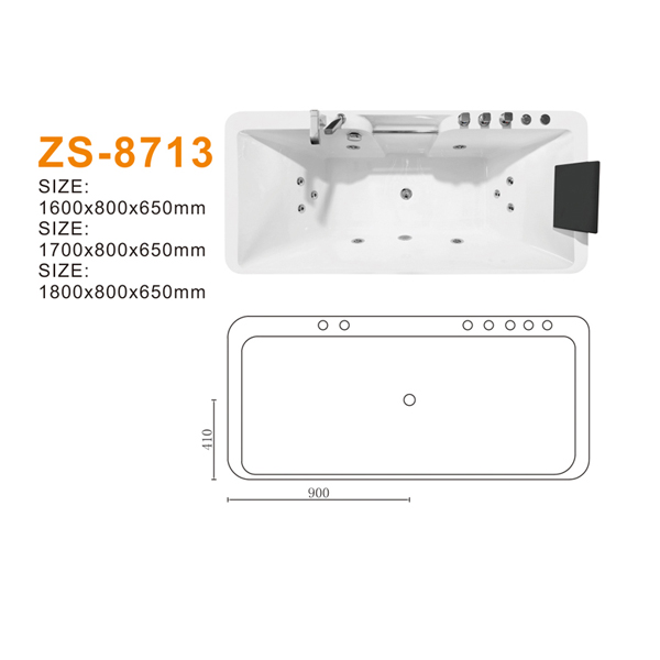 ZS-8713 600.jpg