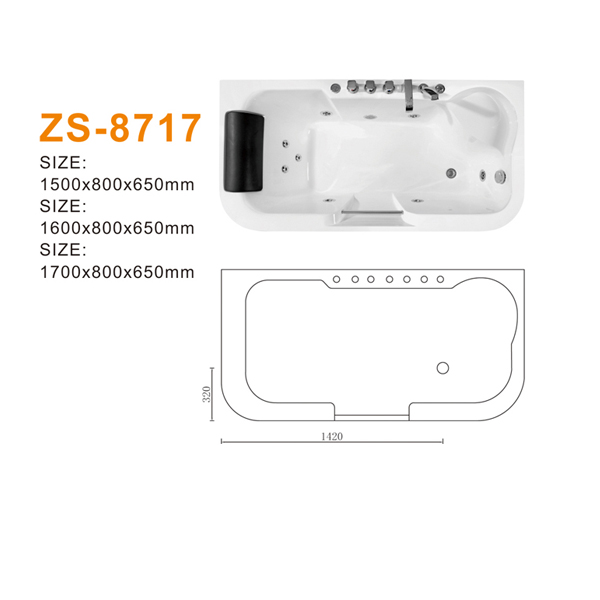 ZS-8717 600.jpg