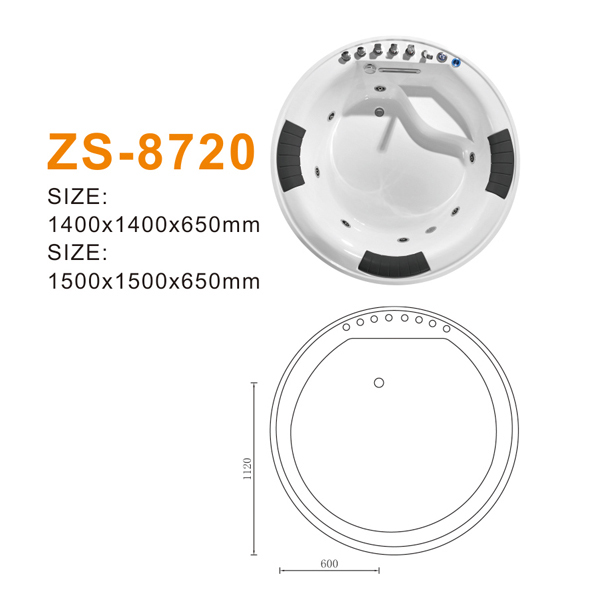 ZS-8720 600.jpg