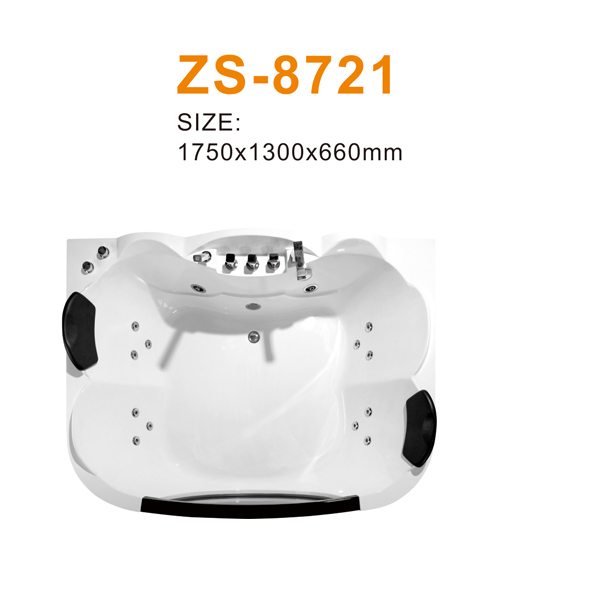 ZS-8721 600.jpg