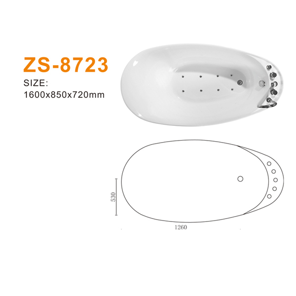 ZS-8723 600.jpg