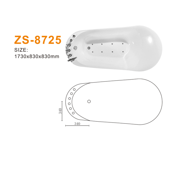 ZS-8725 600.jpg