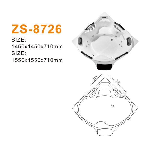 ZS-8726 600.jpg