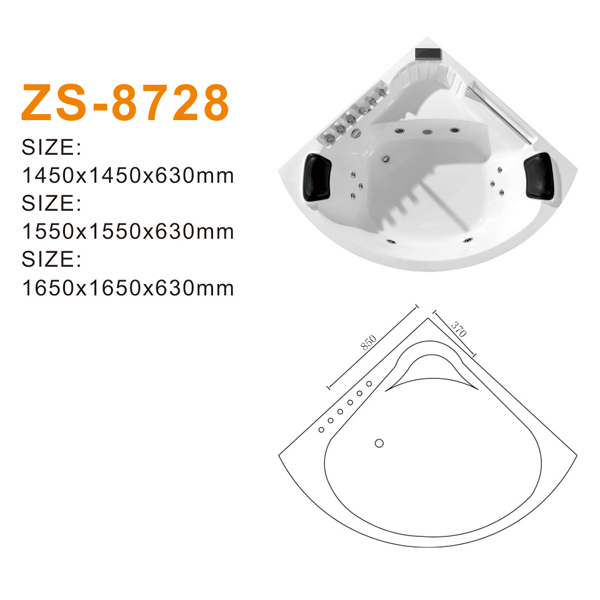 ZS-8728 600.jpg