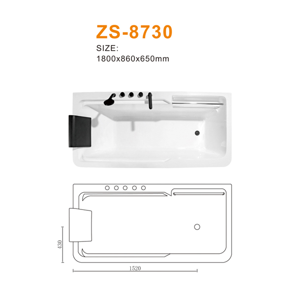 ZS-8730 600.jpg