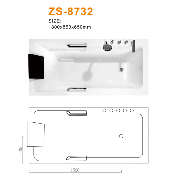 ZS-8732 600.jpg