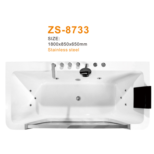 ZS-8733 600.jpg