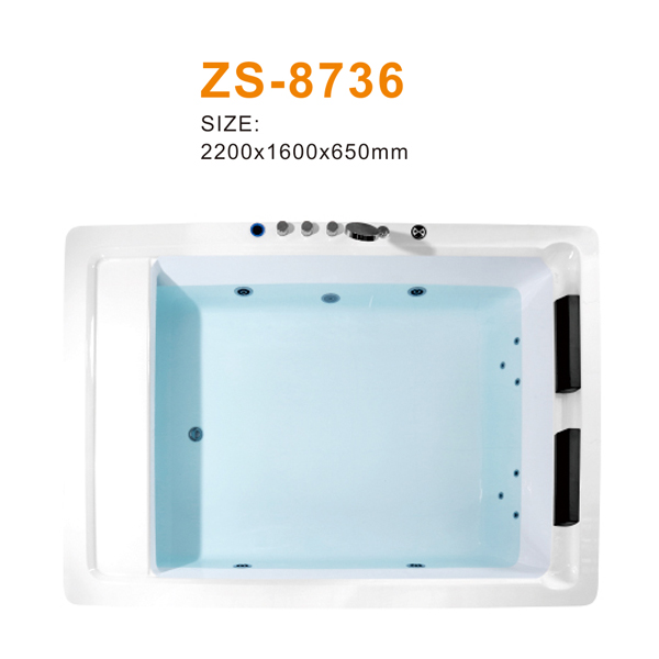 ZS-8736 600.jpg