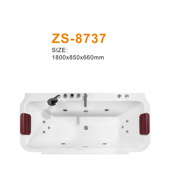 ZS-8737 600.jpg