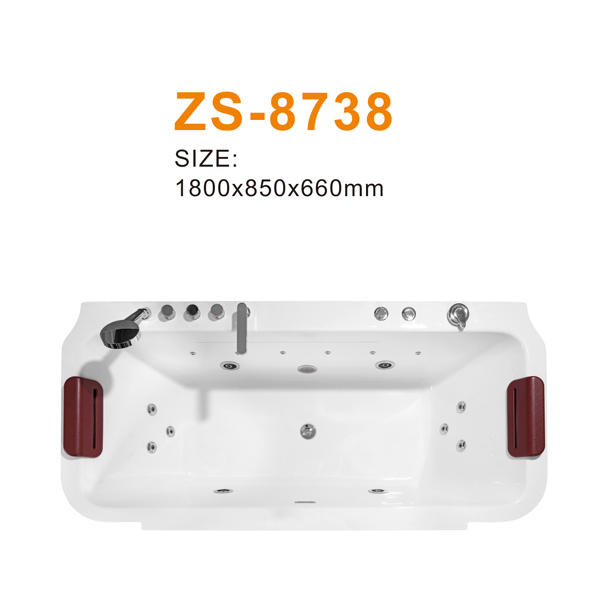 ZS-8738 600.jpg