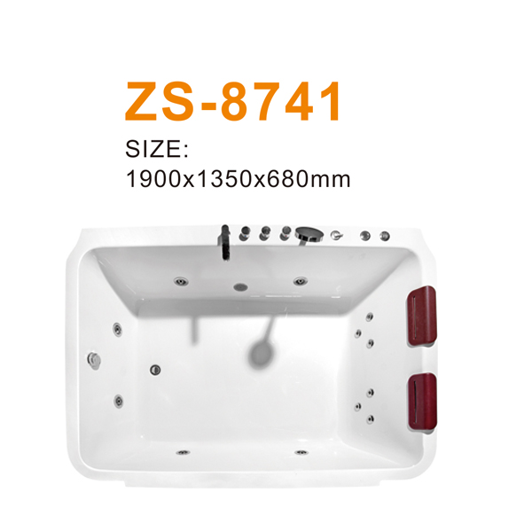 ZS-8741 600.jpg
