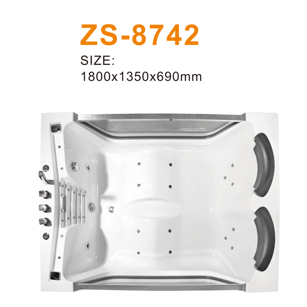 ZS-8742 600.jpg