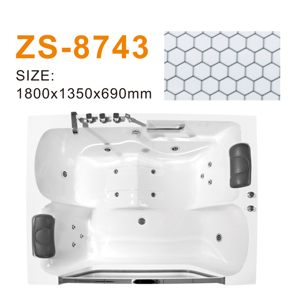 ZS-8743 600.jpg